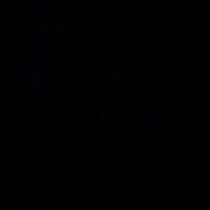 Meet your Posher, Mia